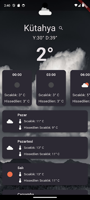 Hava Tahmini Screenshot 3