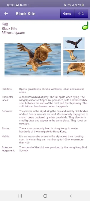 CU Birds Screenshot 2