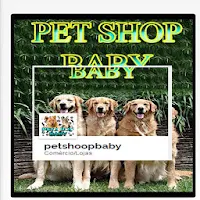 PET SHOP BABY