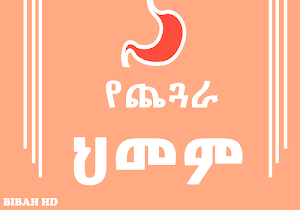 Ethiopian Gastritis Info App - Ethiopia Health App Screenshot 0