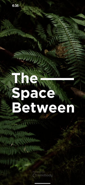 The Space Between screenshot 1