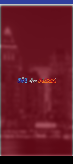 Big City Pizza Screenshot 3