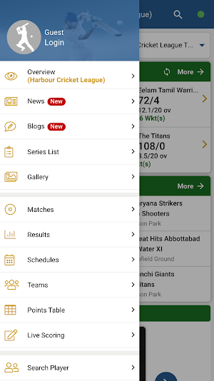 Harbour Cricket League Screenshot 0