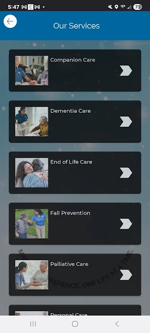 Vermont Angels Screenshot 1