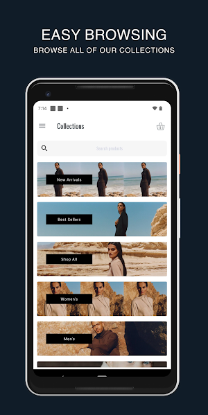Bleusalt Screenshot 2