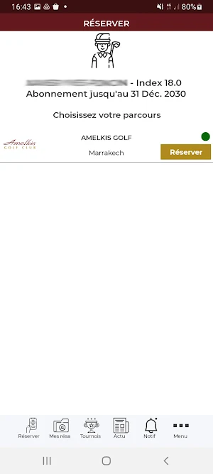 LOGI GOLF - AMELKIS Screenshot 1