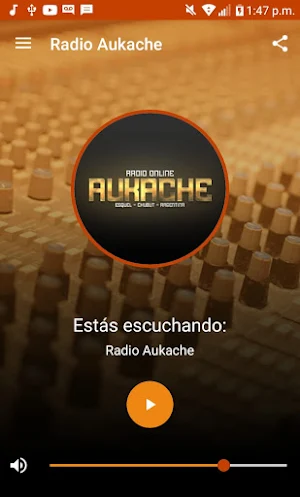 Radio Online Aukache Screenshot 1