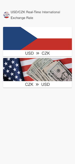 USD to CZK Screenshot 0