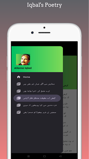 Urdu Poetry Offline Screenshot 3