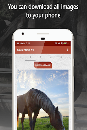 horse wallpapers, backgrounds Screenshot 1