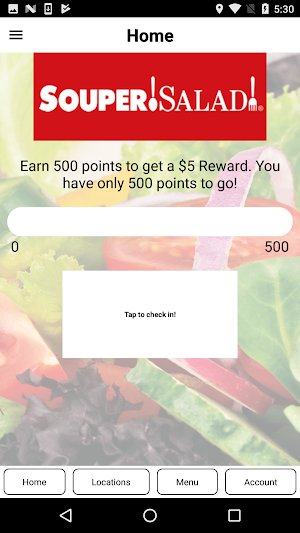 Souper Salad Screenshot 2