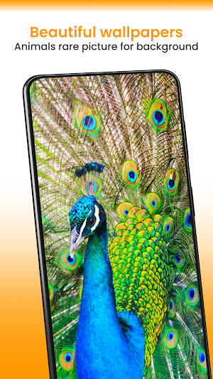 Animal Wallpaper 4K HD Screenshot 2