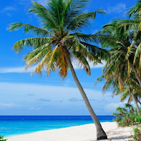 Ocean Sounds : Relax and Sleep