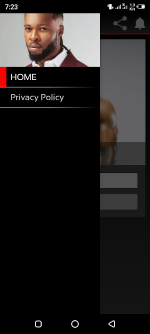 Mr. Flavour All Songs Screenshot 2