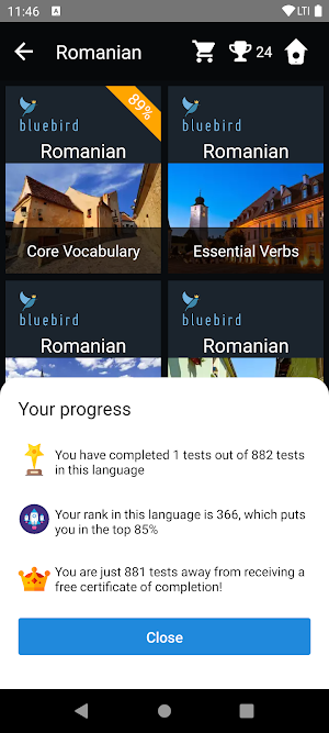 Romanian Language Tests Screenshot 2