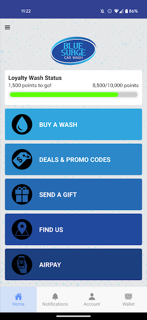 Blue Surge Car Wash Screenshot 0