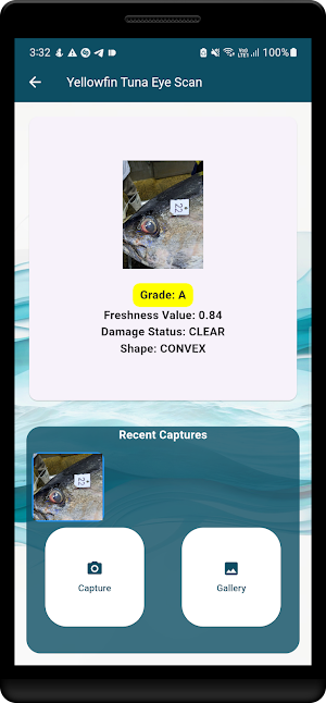 AIMaluwa Screenshot 3