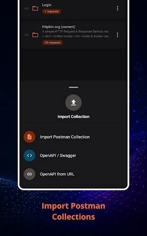 Pocket API Client: API Tester Screenshot 2