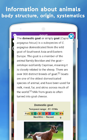 Farm Animal Sounds Screenshot 2