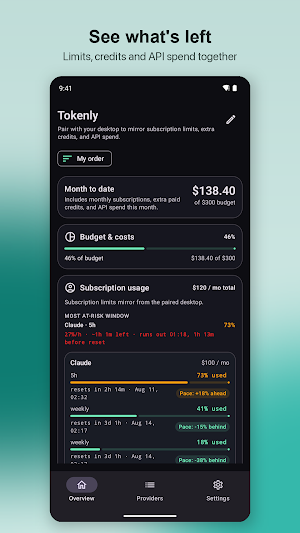 Tokenly: AI Usage Tracker Screenshot 0