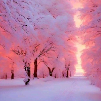 winer beauty wallpapers