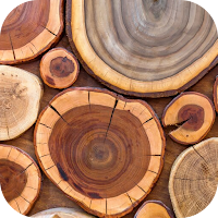 Wood Wallpaper 2023