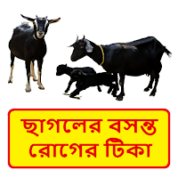 ছাগলের বসন্ত রোগের টিকা