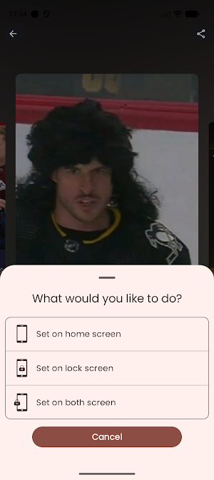 Hockey Wallpaper HD & 4K Screenshot 3
