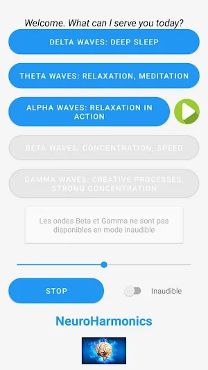 NeuroHarmonics Screenshot 3