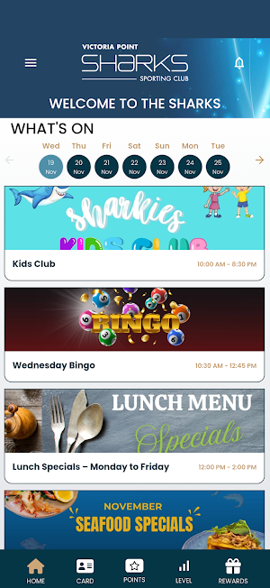 Victoria Point Sharks Club Screenshot 1