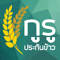 กูรูประกันข้าว