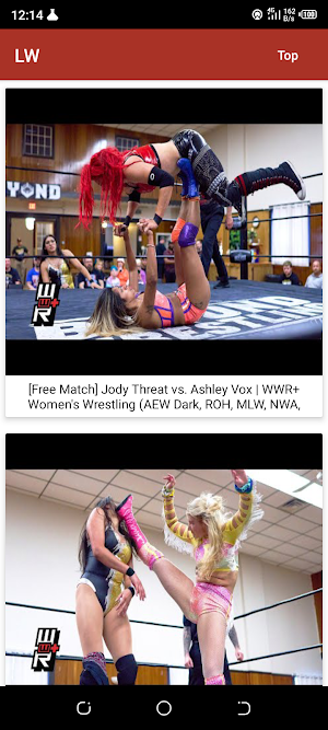 Ladies Wrestling Screenshot 0