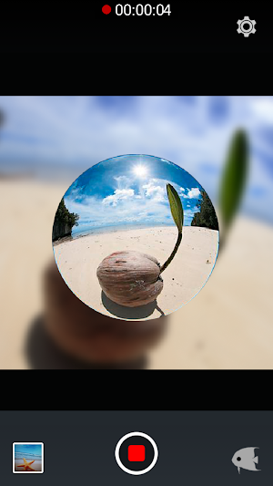 FishEyeVideo Free Screenshot 0