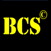 BCS© - Engineering Services