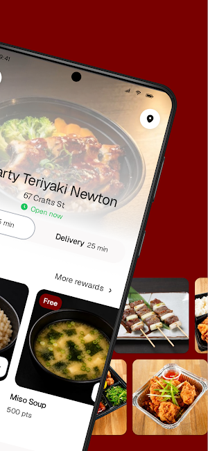 Hearty Teriyaki Newton Screenshot 1