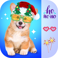 Christmas Photo Frames & New Year Photo 🎁🎄