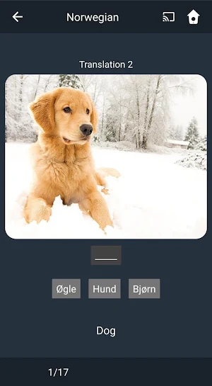 Learn Norwegian. Speak Norwegian. Study Norwegian. Screenshot 3