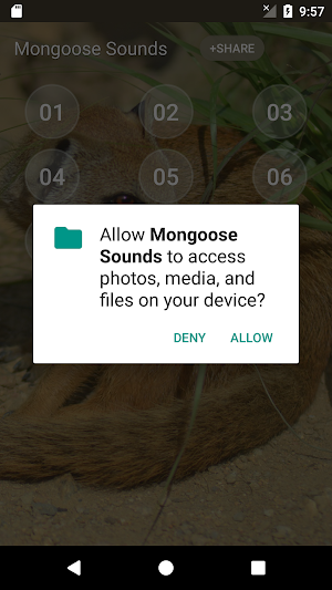 Mongoose Sounds Screenshot 3