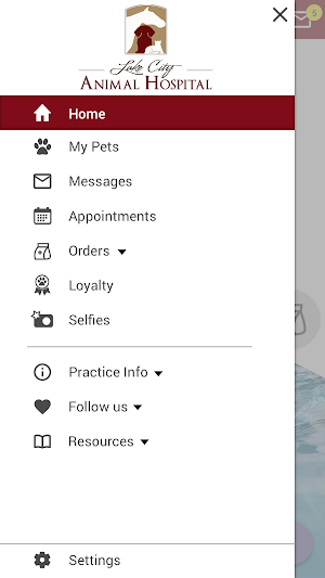 Lake City Animal Hospital FL Screenshot 1