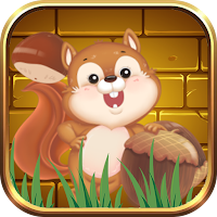 Squirrel Collecting Nuts
