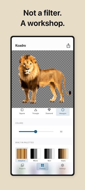 Koadro - Photo Pixel Art Screenshot 3