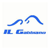 Il Gabbiano
