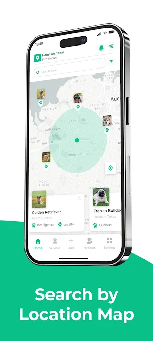 Adoringo Screenshot 3