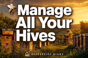 Beekeeping Diary: Hive Log Screenshot 0