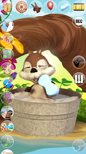 Talking Baby Squirrel Screenshot 3