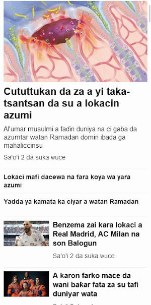 BBC Hausa News - Labaran Hausa Screenshot 3