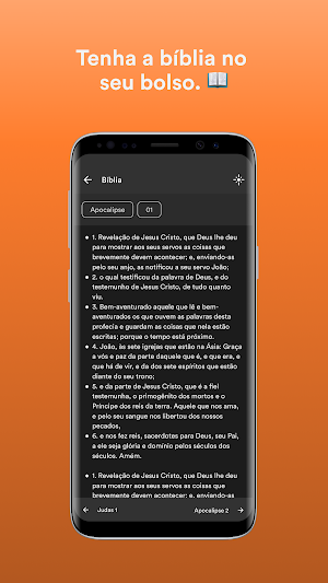 IPI Alfenas Screenshot 2