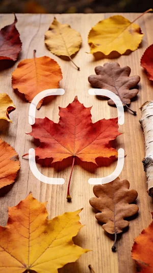 Leaf Identifier Screenshot 0