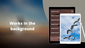 Seagulls Sounds Screenshot 2