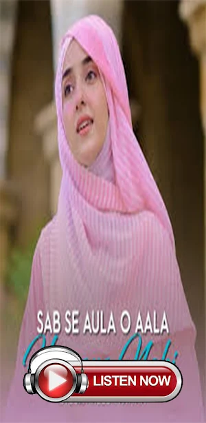Collection Syeda Areeba Fatima Screenshot 1